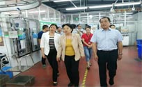 安阳市政协莅临我司实地考察